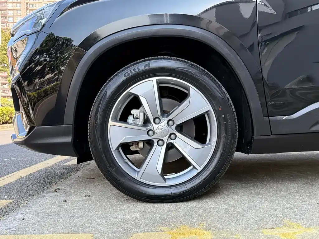 Geely Haoyue L 2023 из CN, фото 6