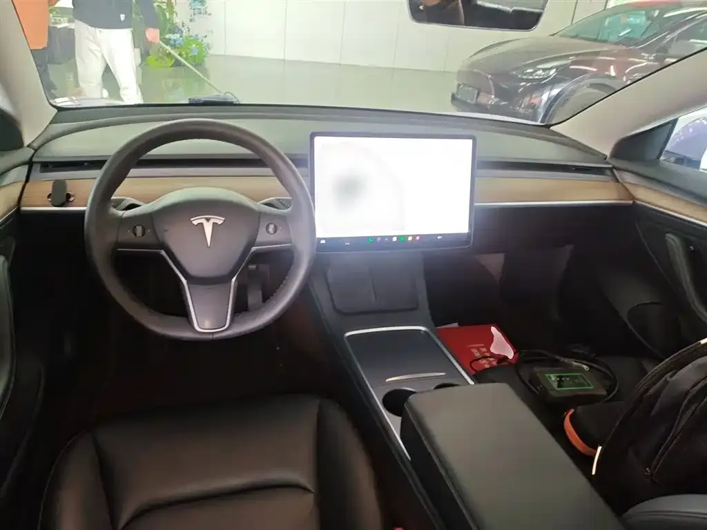Tesla Model 3 2021 из CN, фото 4