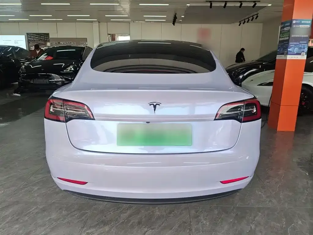 Tesla Model 3 2021 из CN, фото 6