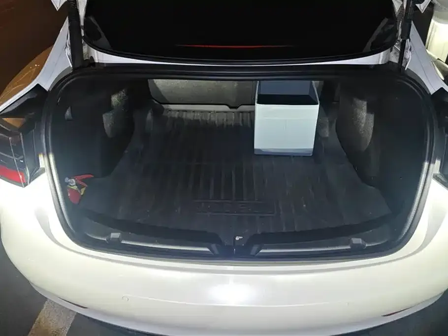 Tesla Model 3 2022 из CN, фото 2