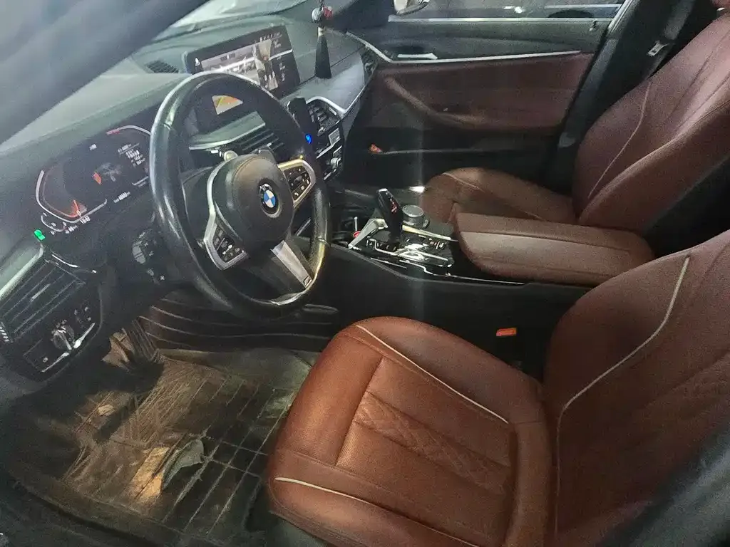 BMW 5 Series 2021 из CN, фото 7