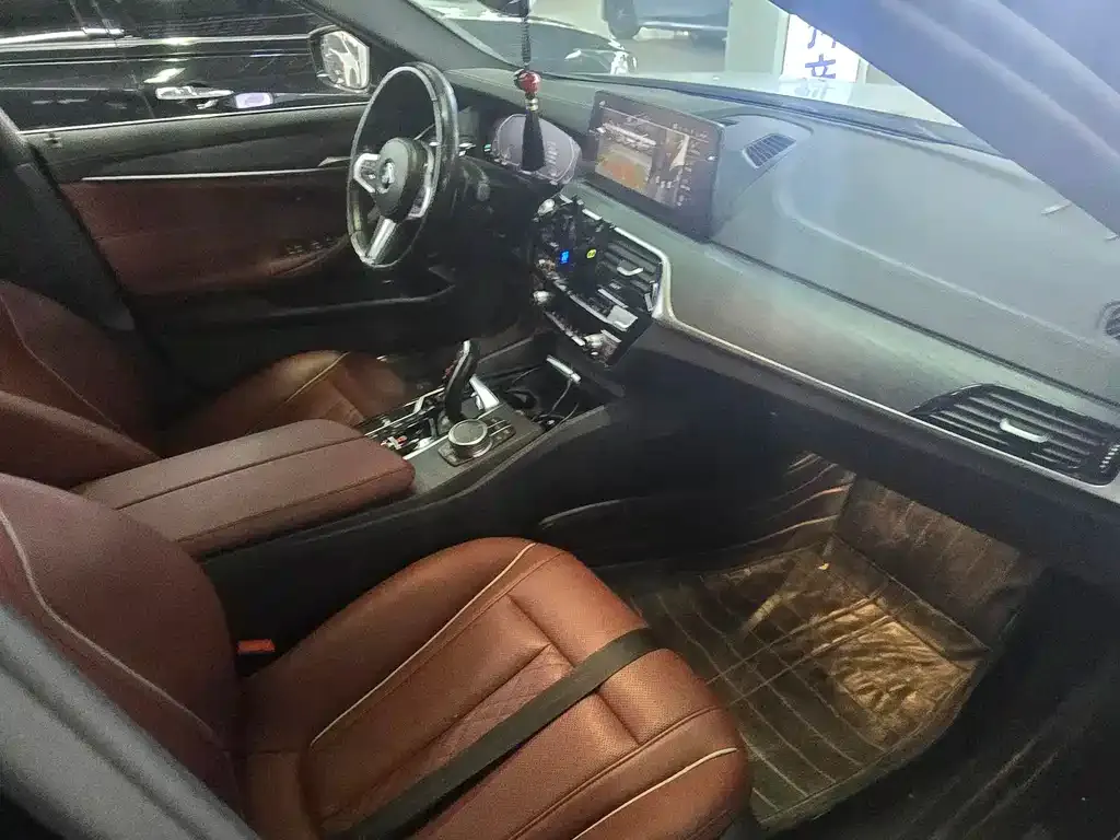 BMW 5 Series 2021 из CN, фото 9