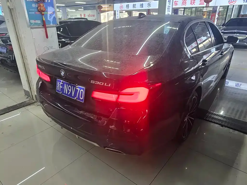 BMW 5 Series 2021 из CN, фото 6