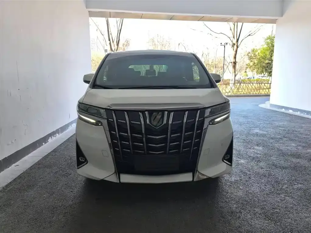 Toyota Alphard 2021 из CN, фото 10
