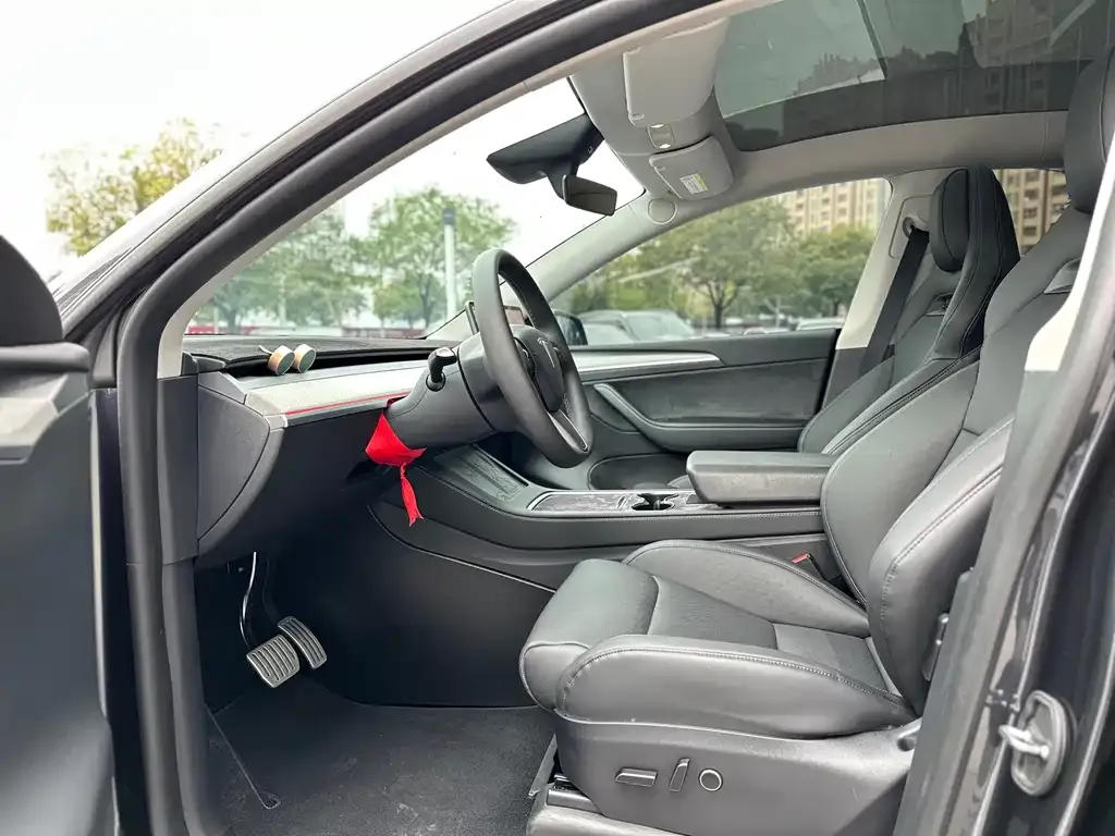 Tesla Model Y 2024 из CN, фото 9