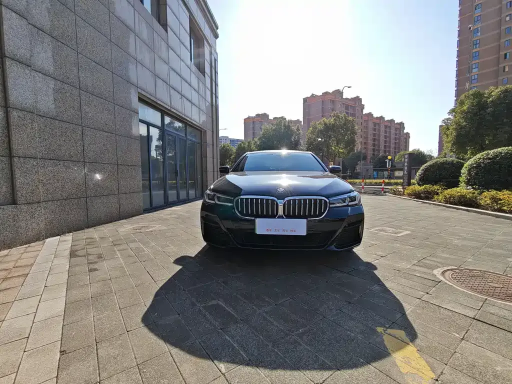 BMW 5 Series New Energy — фото 6