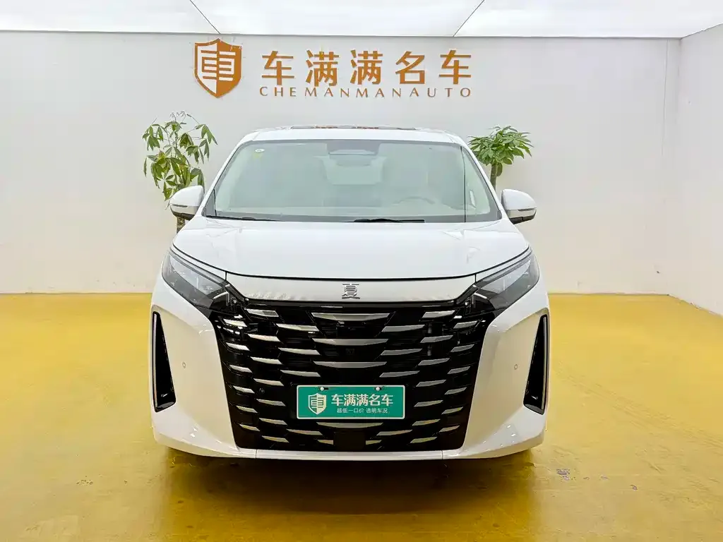 BYD Xia 2025 из CN, фото 2