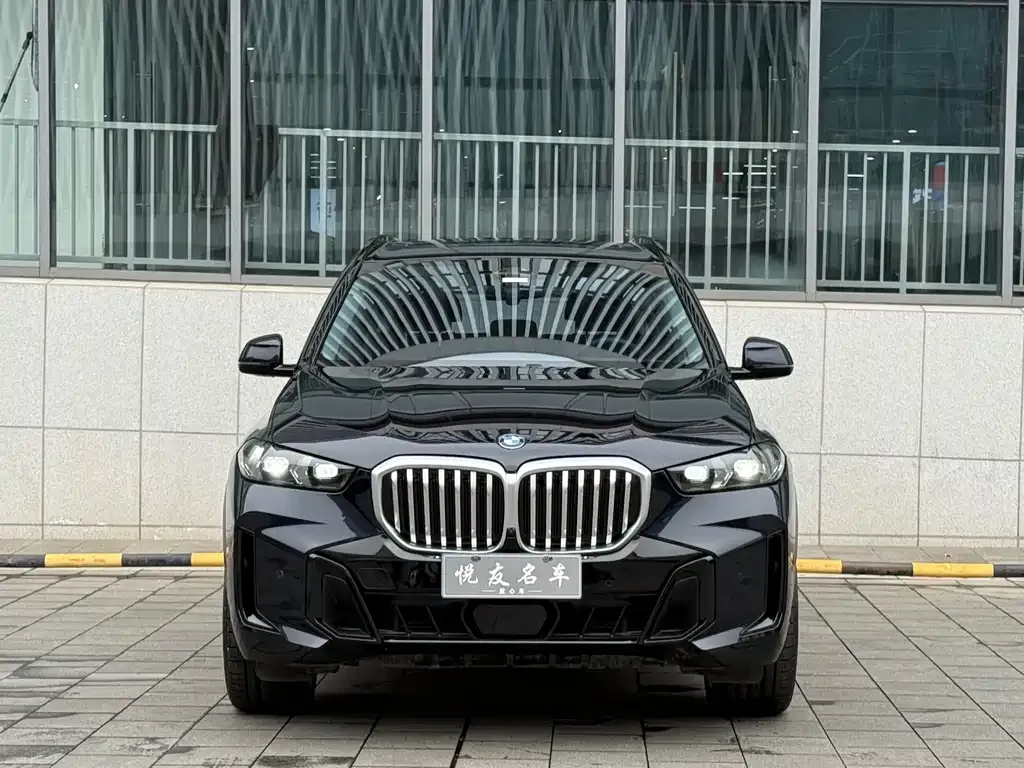 BMW X5 2023 из CN, фото 4