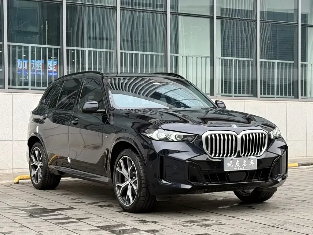 BMW X5 2023 из CN, фото 6