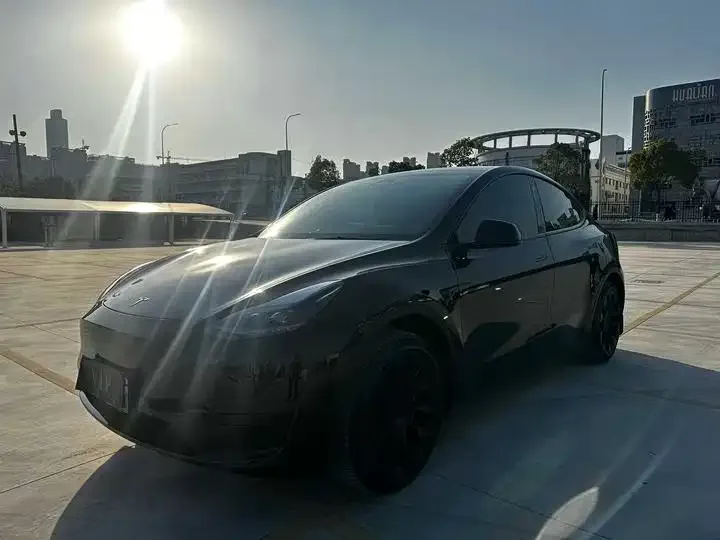 Tesla Model Y — фото 2