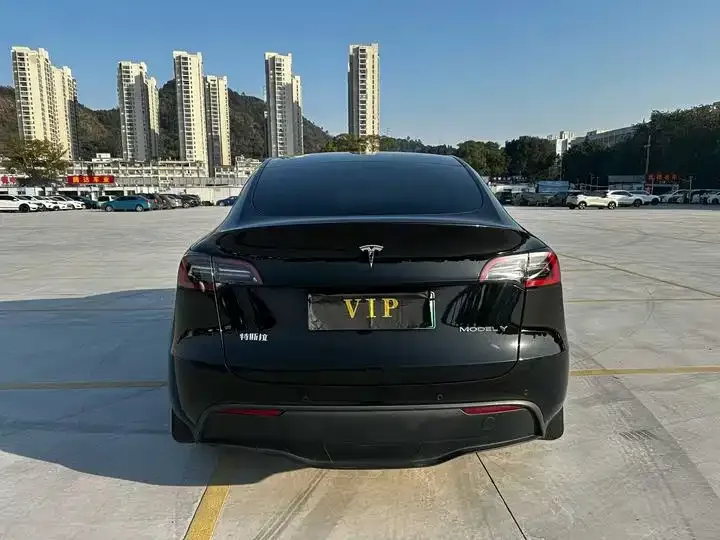 Tesla Model Y — фото 9