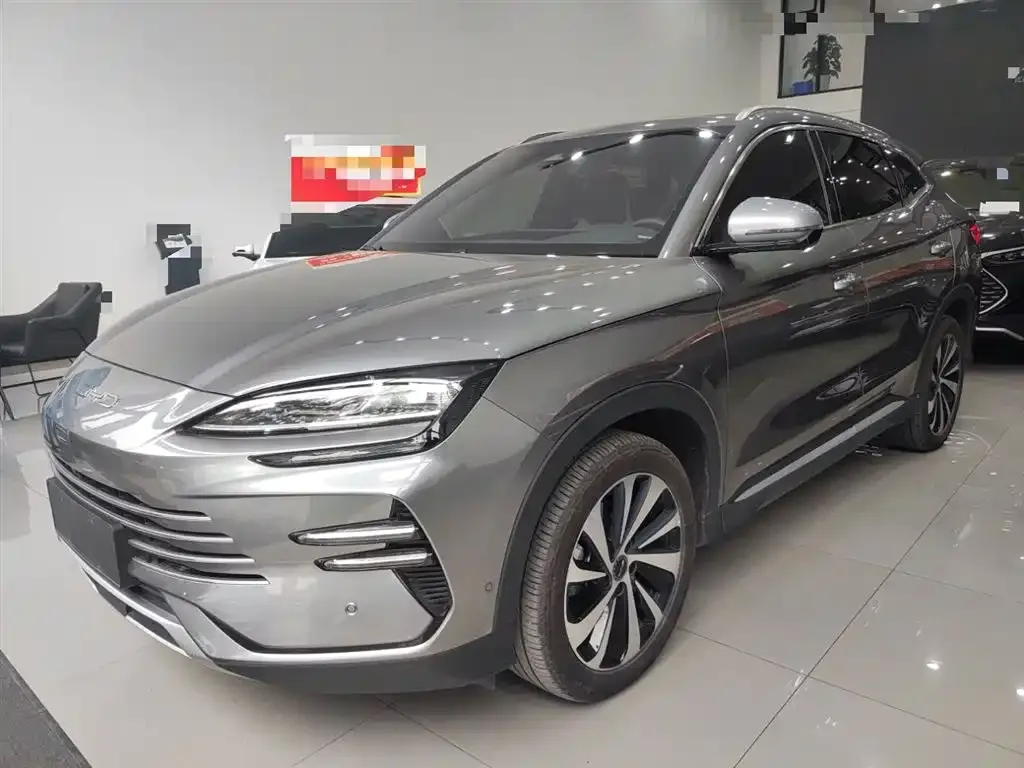 BYD PLUS New Energy 2024 из CN, фото 1