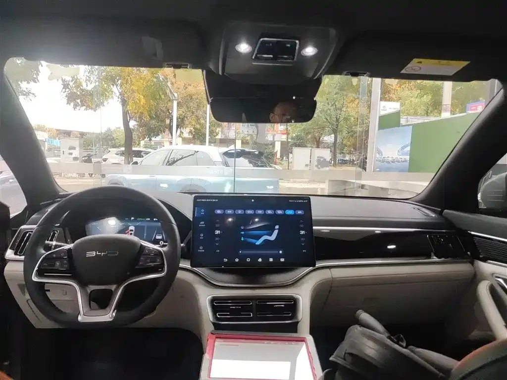 BYD PLUS New Energy 2024 из CN, фото 10