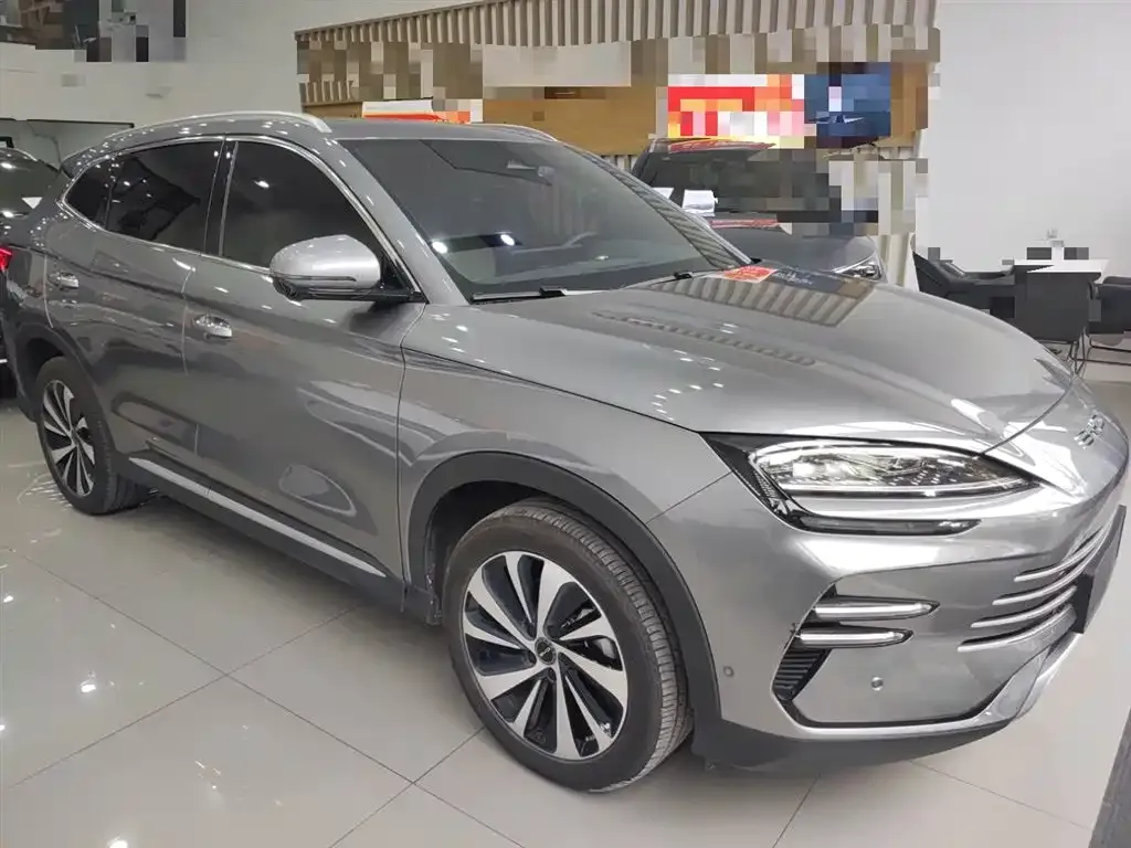 BYD PLUS New Energy 2024 из CN, фото 4