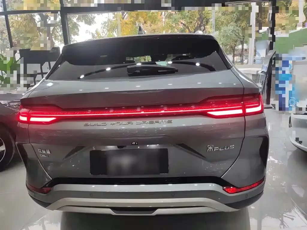 BYD PLUS New Energy 2024 из CN, фото 6