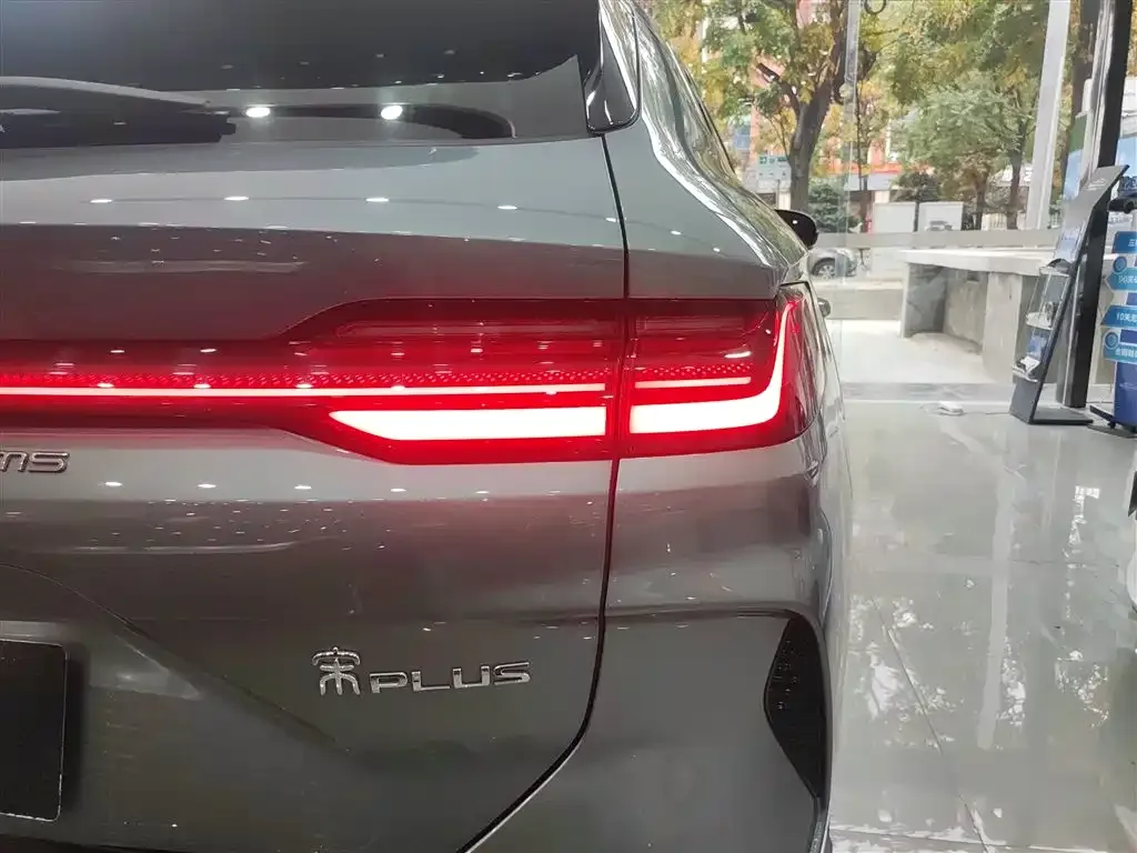 BYD PLUS New Energy 2024 из CN, фото 8