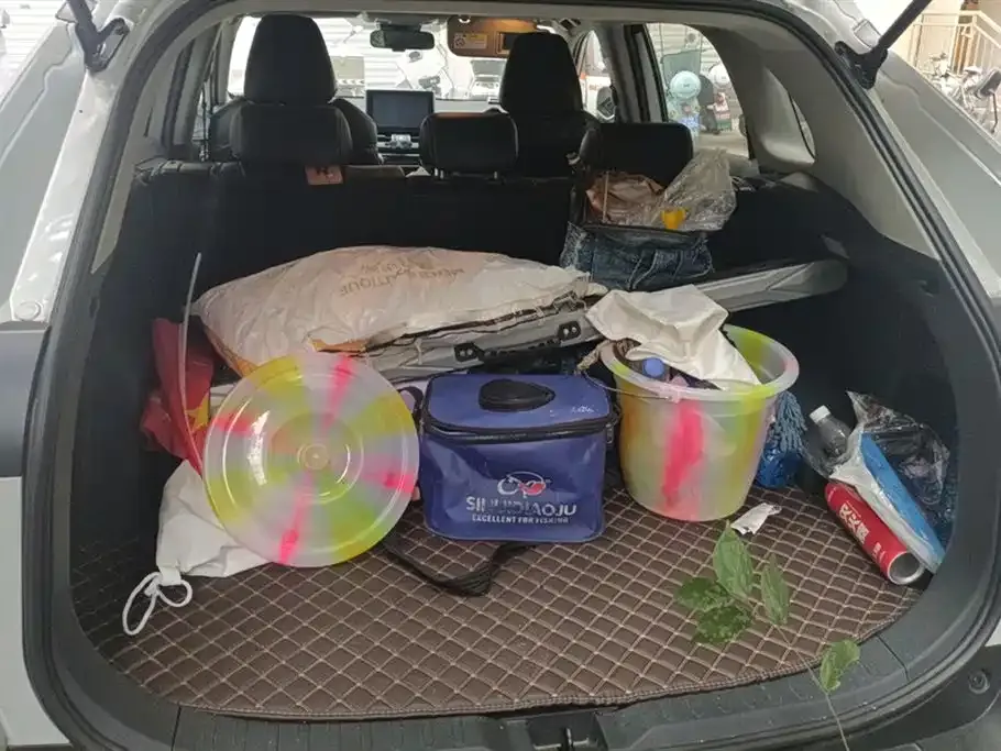Toyota RAV4 2023 из CN, фото 4