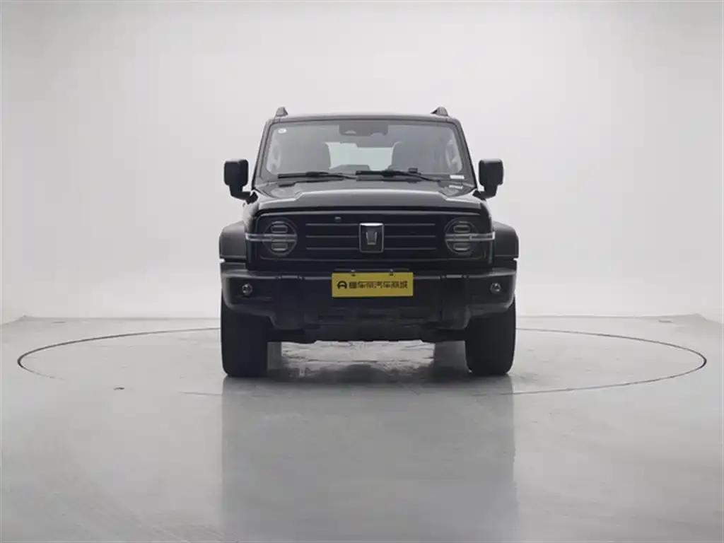 Tank 300 2023 из CN, фото 7