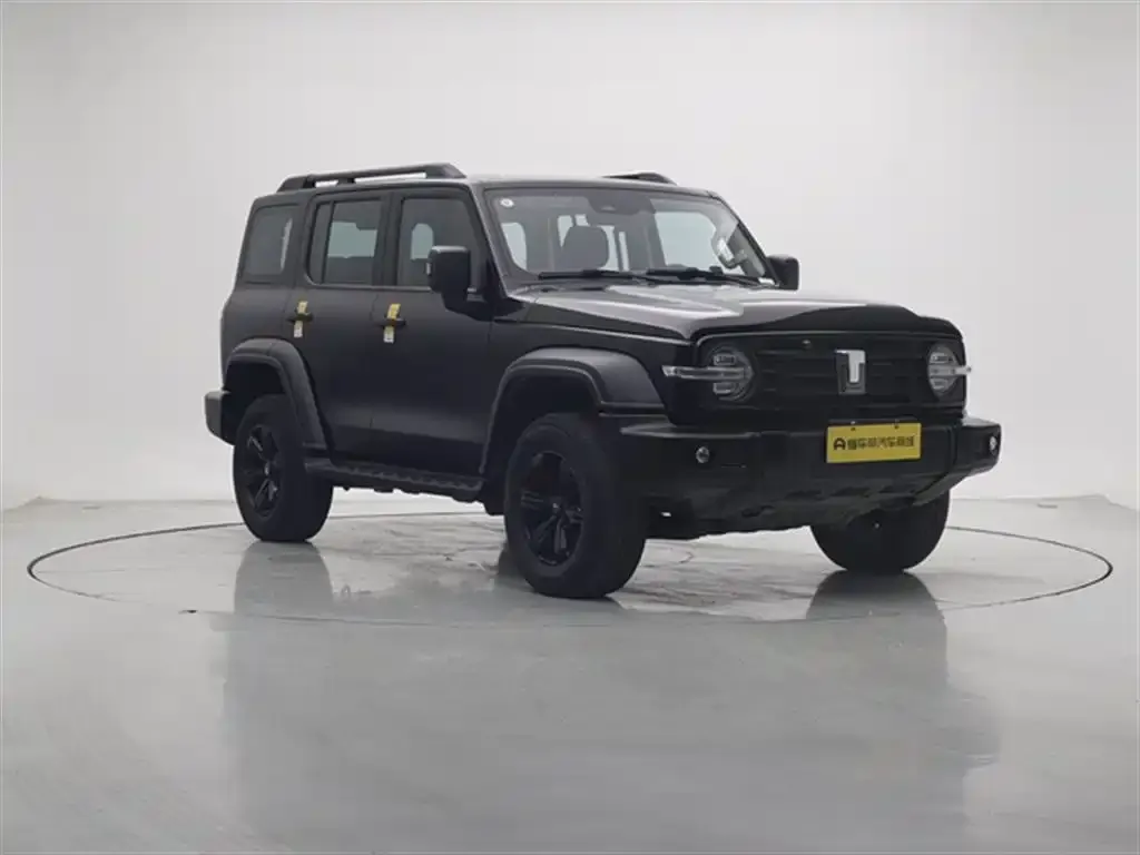 Tank 300 2023 из CN, фото 10