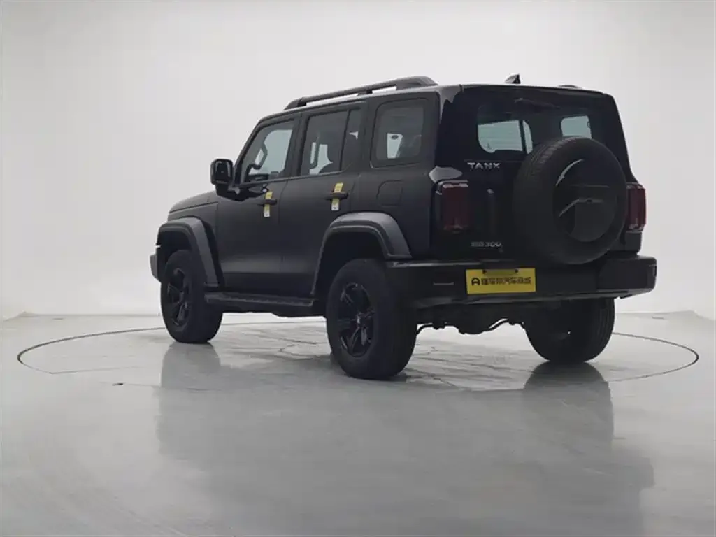 Tank 300 2023 из CN, фото 3