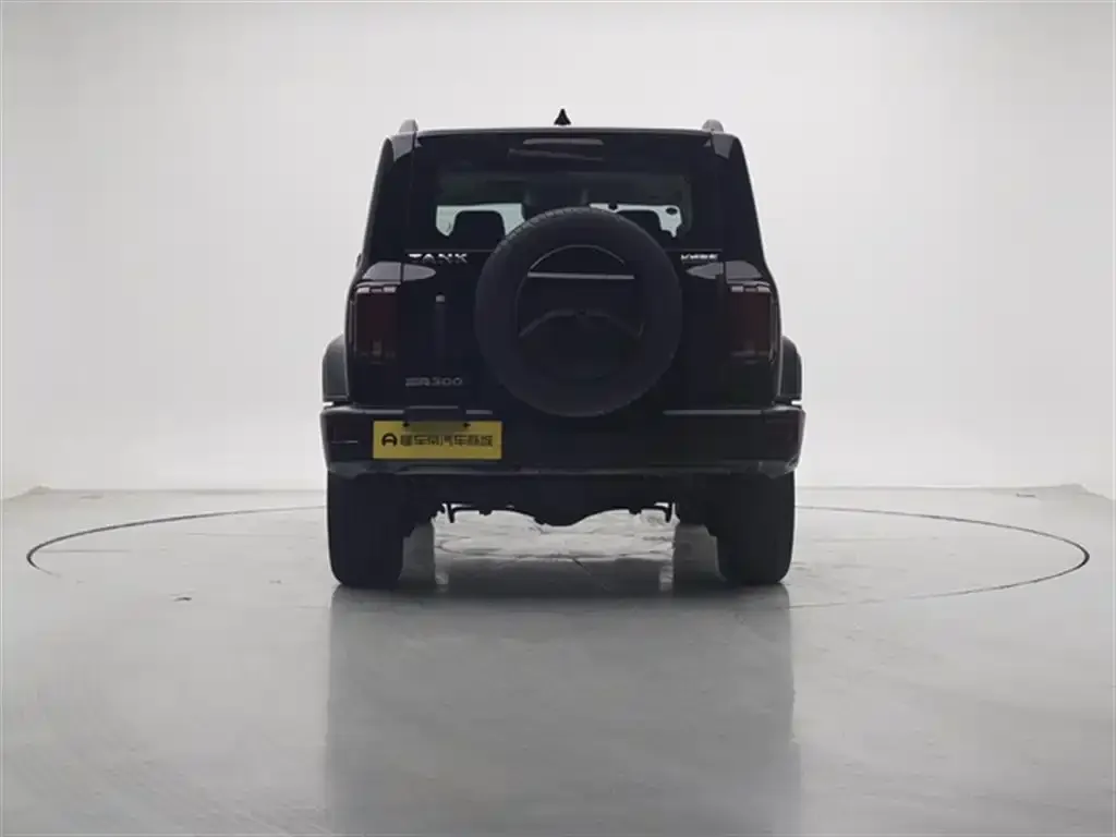 Tank 300 2023 из CN, фото 5