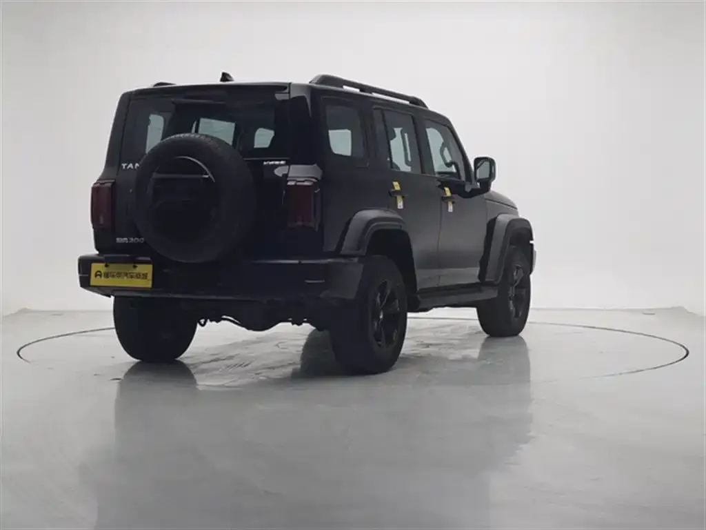 Tank 300 2023 из CN, фото 9