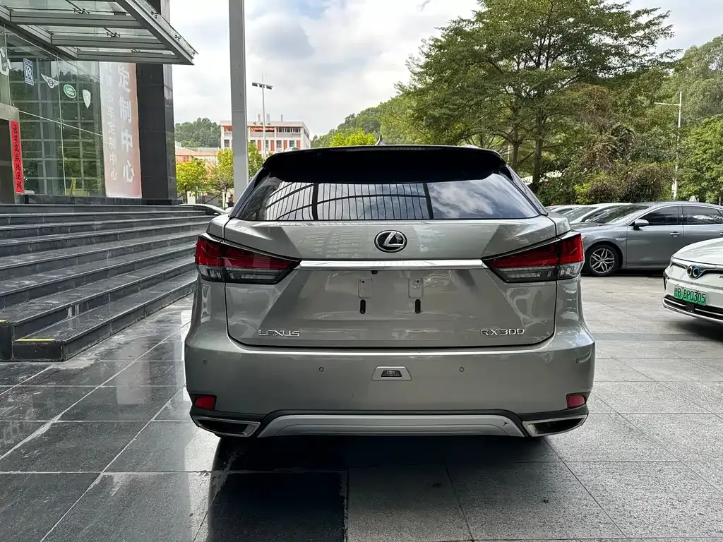 Lexus RX 2022 из CN, фото 4