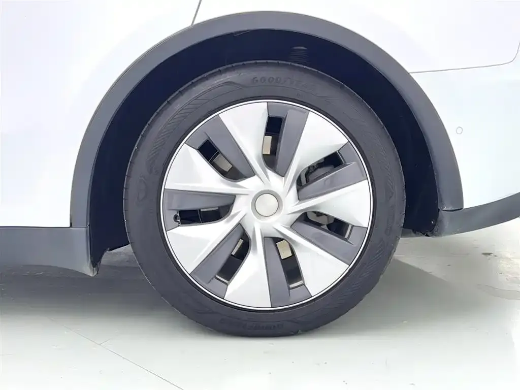 Tesla Model Y 2023 из CN, фото 9