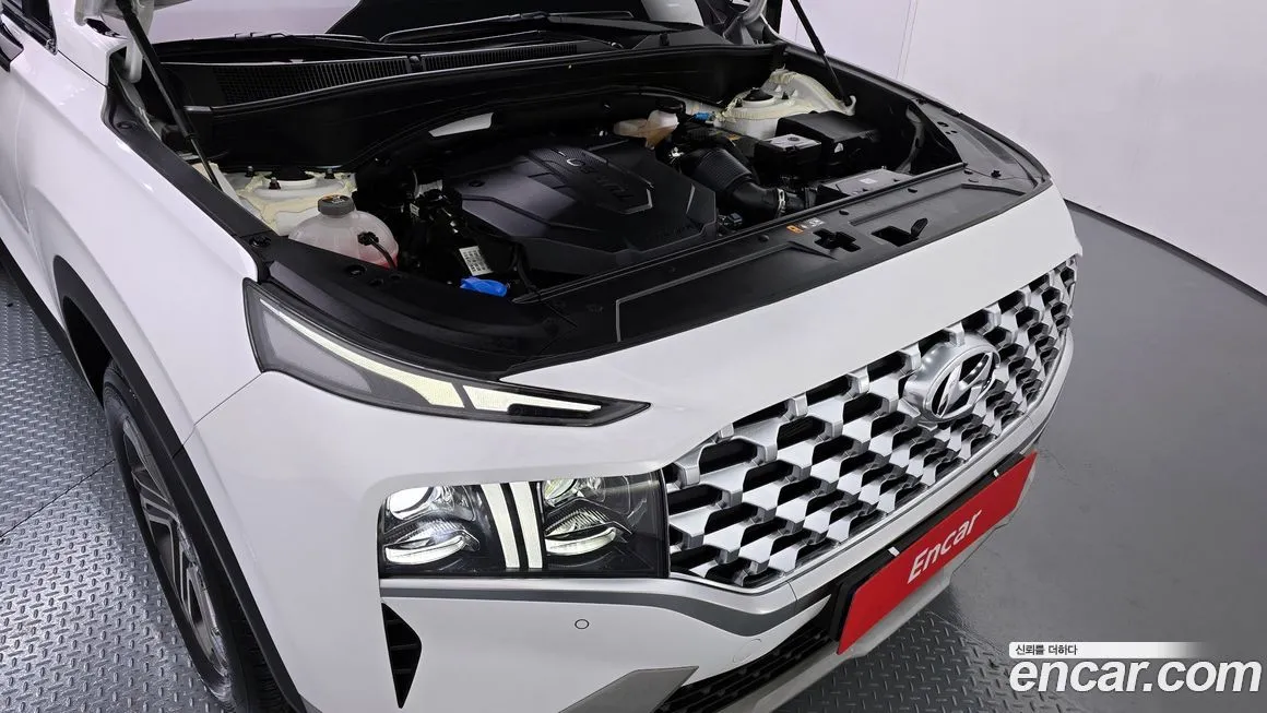 Hyundai Santafe 2021 из KR, фото 5