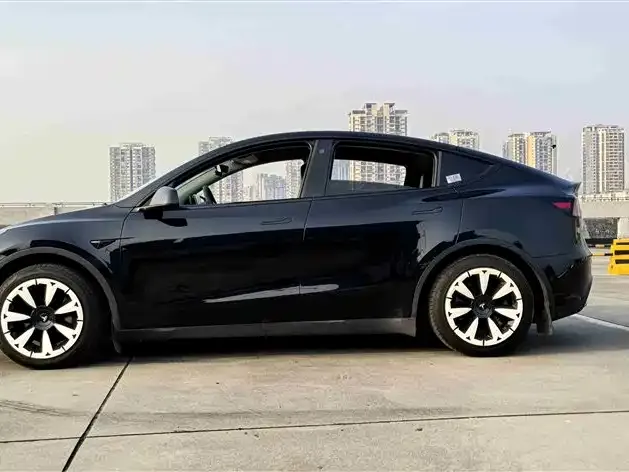 Tesla Model Y 2023 из CN, фото 4