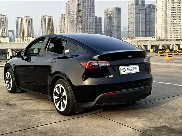 Tesla Model Y 2023 из CN, фото 8
