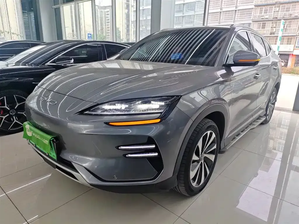 BYD PLUS New Energy 2024 из CN, фото 5