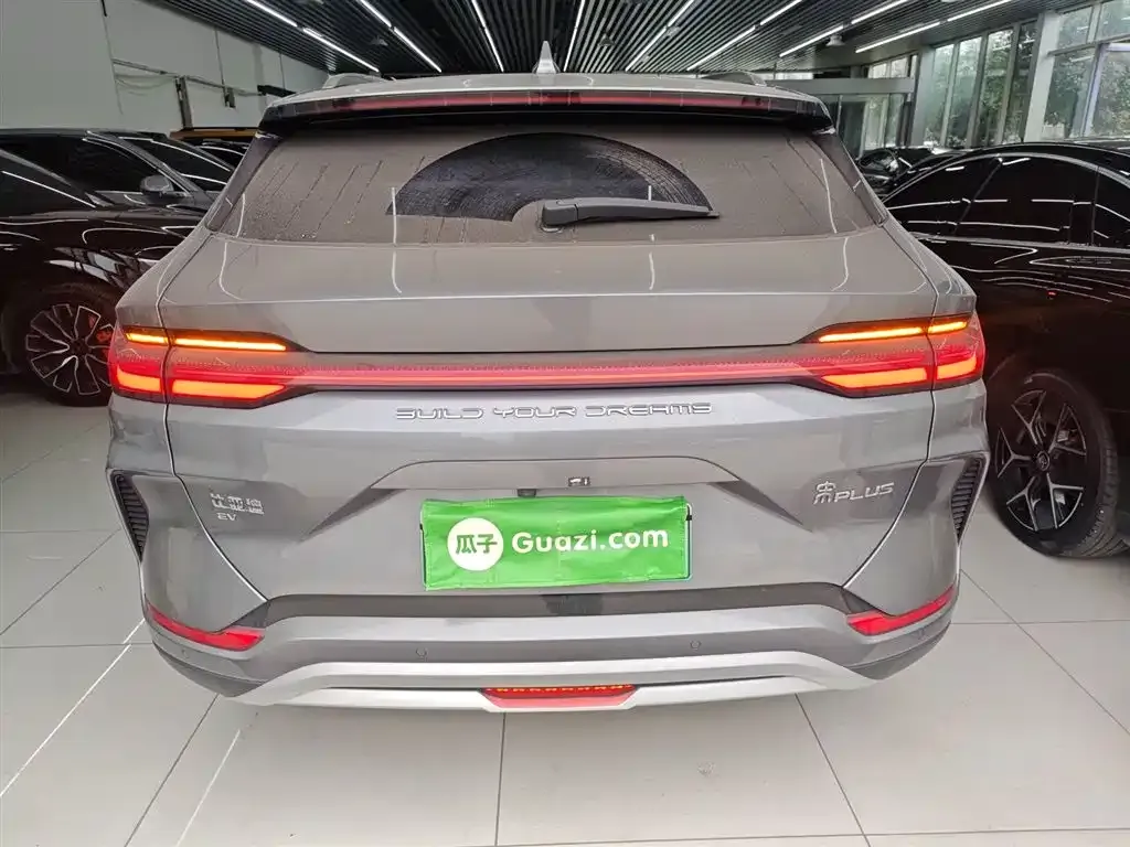 BYD PLUS New Energy 2024 из CN, фото 2