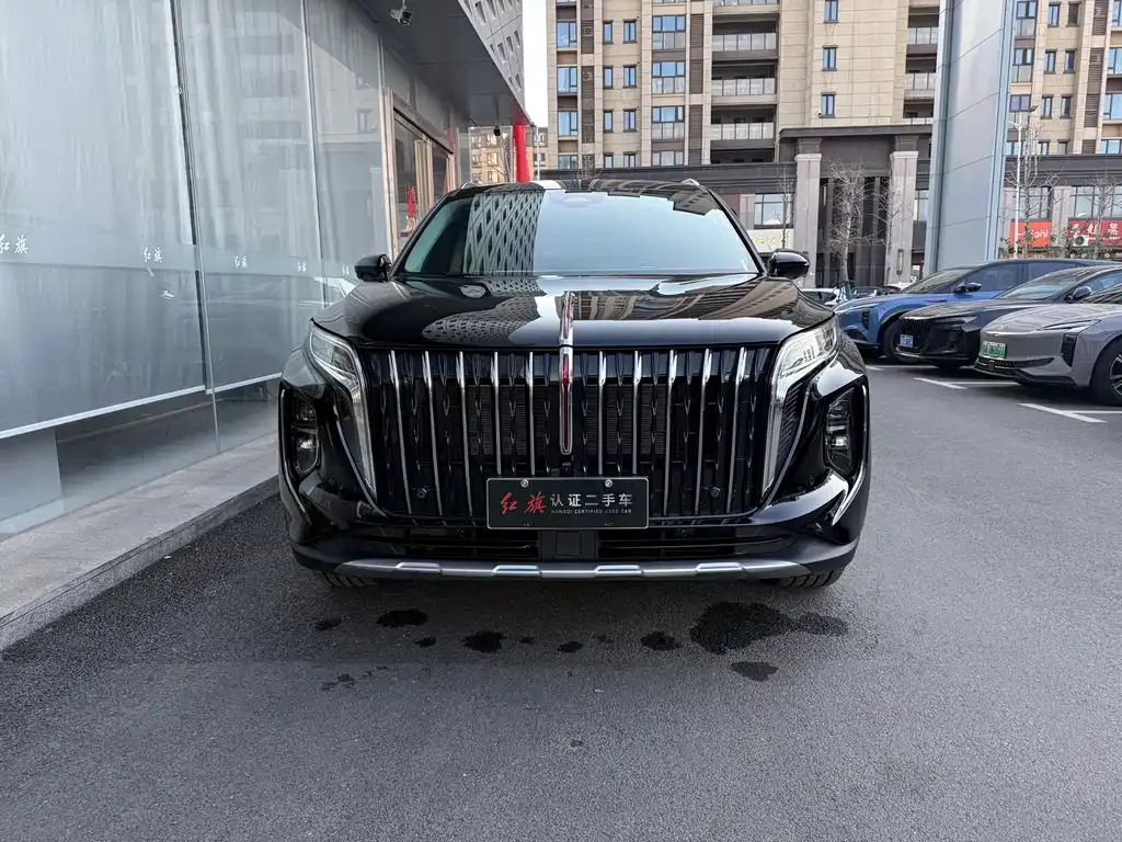 Hongqi HS7 PHEV 2025 из CN, фото 9