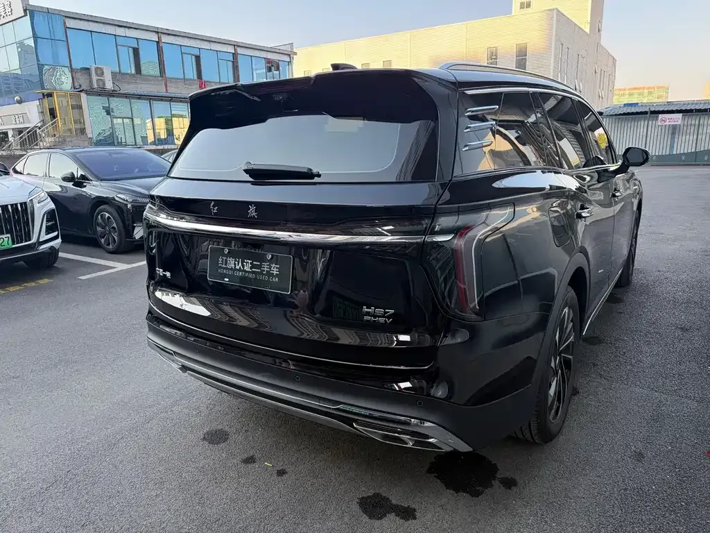 Hongqi HS7 PHEV 2025 из CN, фото 8