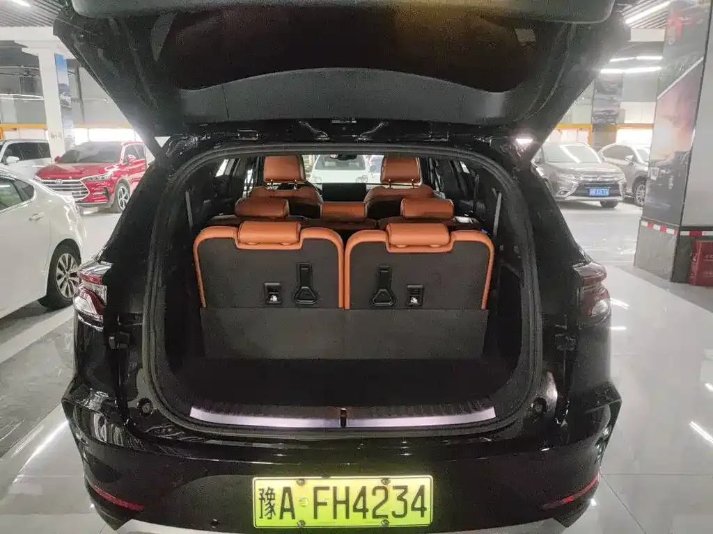 BYD Tang New Energy 2023 из CN, фото 8