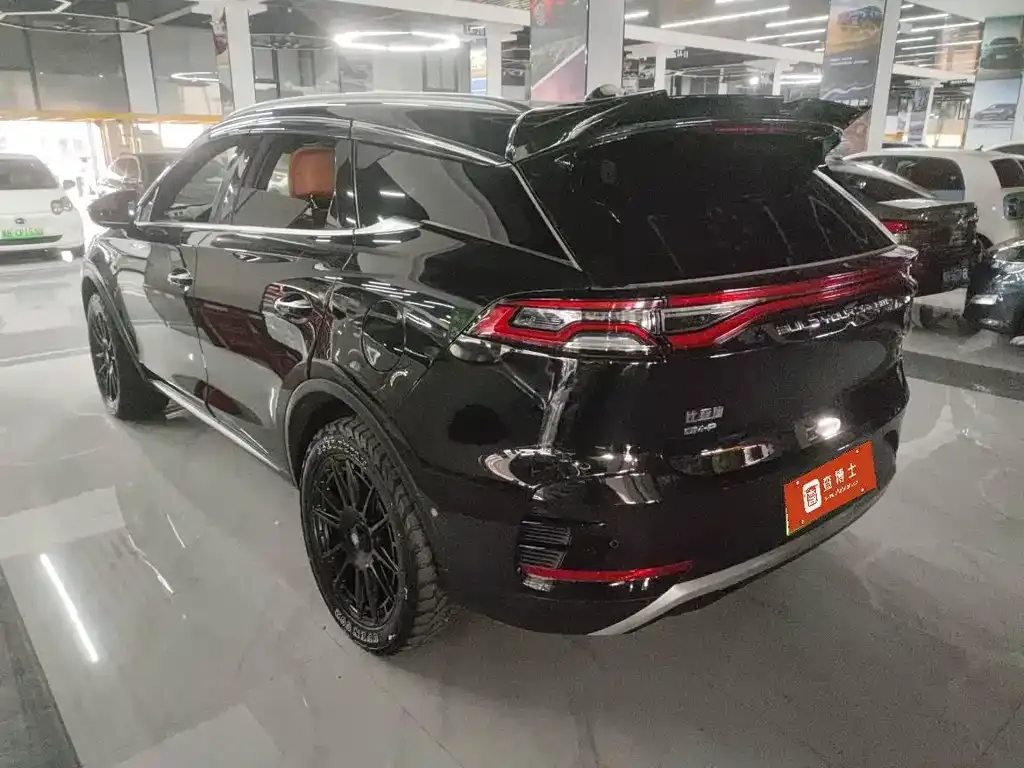 BYD Tang New Energy 2023 из CN, фото 4