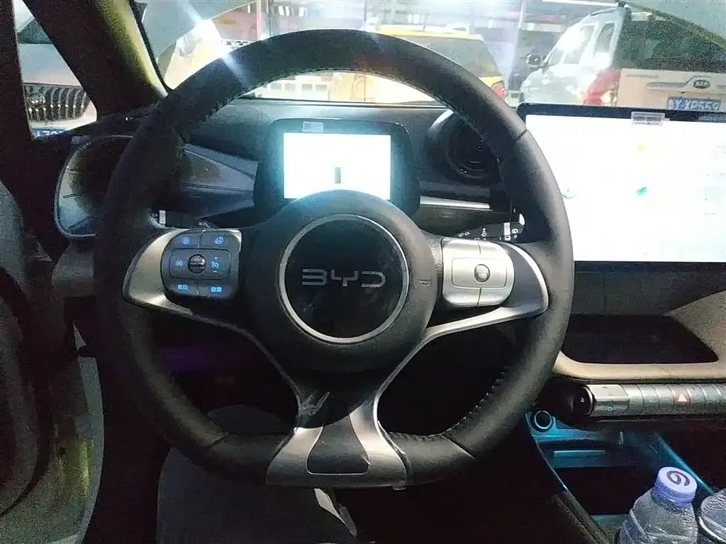 [object Object] Dolphin 2025 из CN, фото 3