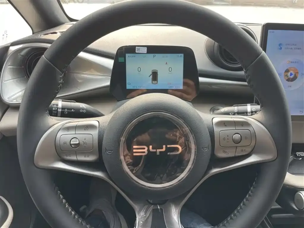 [object Object] Dolphin 2025 из CN, фото 5