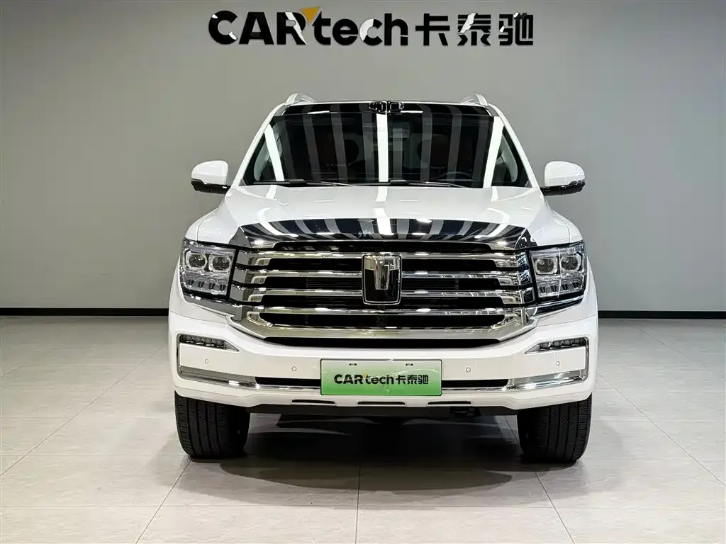 Tank 500 New Energy 2025 из CN, фото 5