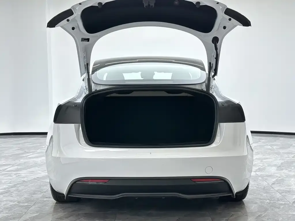 Tesla Model 3 2024 из CN, фото 2