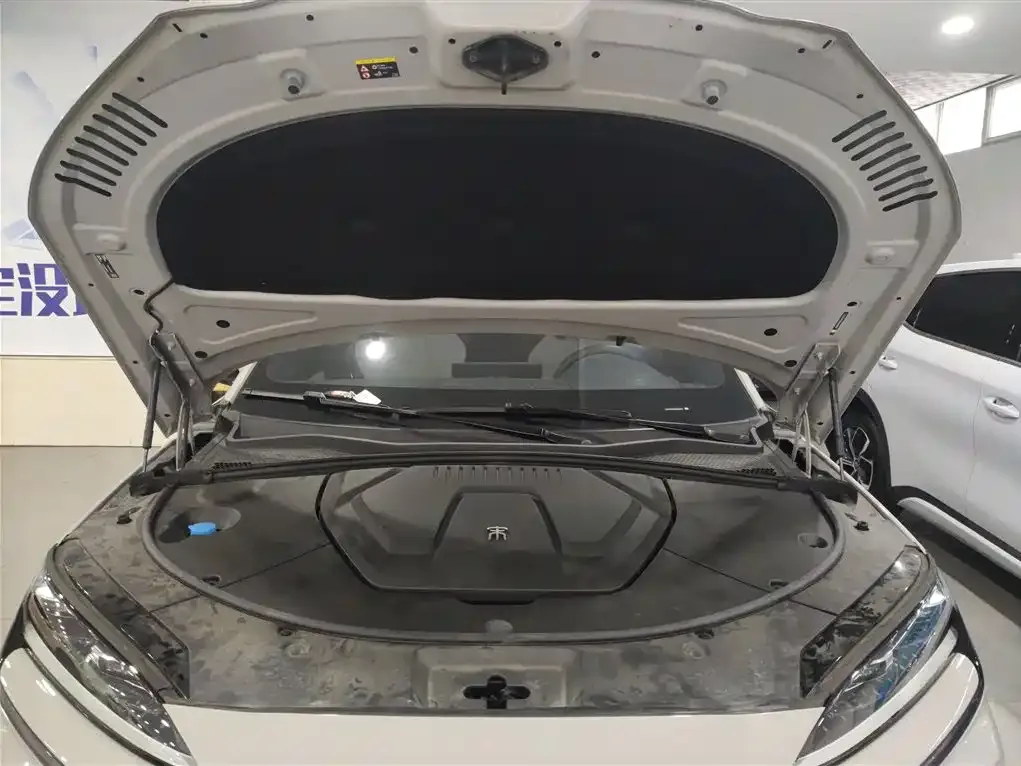 BYD PLUS New Energy 2024 из CN, фото 10