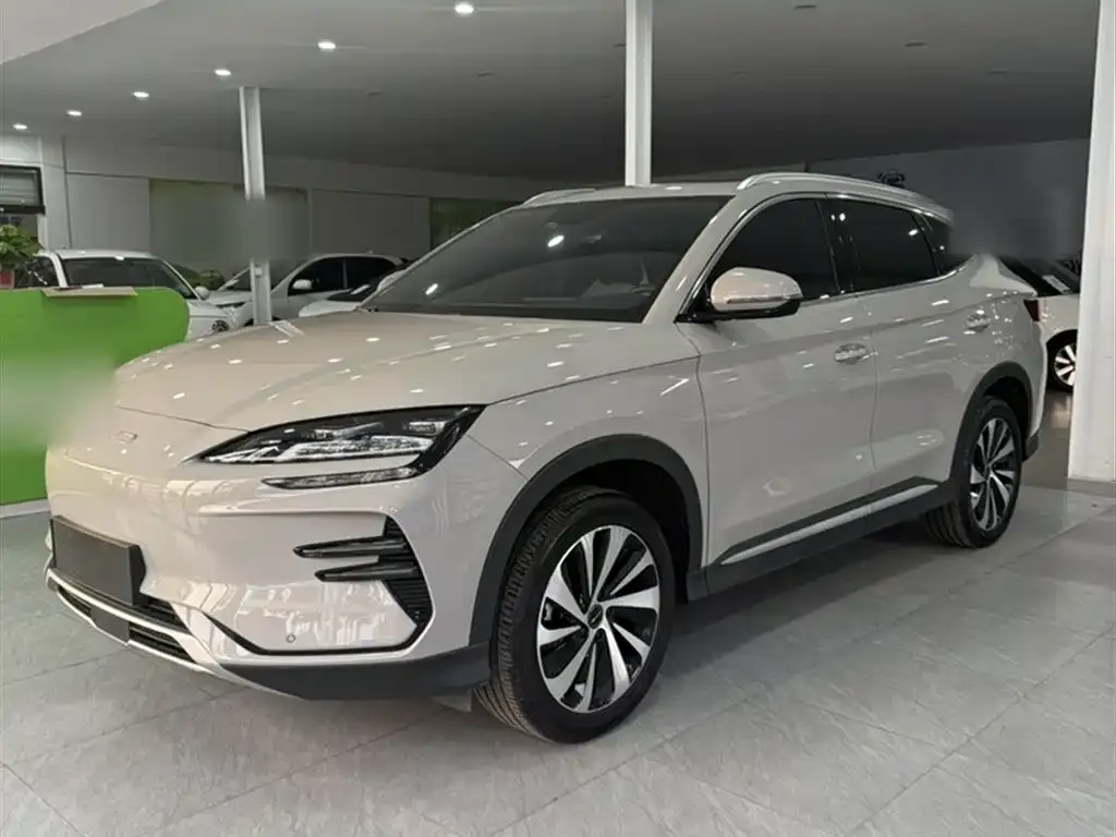 BYD PLUS New Energy 2024 из CN, фото 2