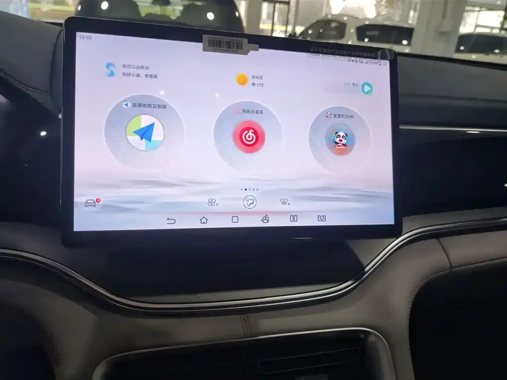 BYD PLUS New Energy 2024 из CN, фото 5