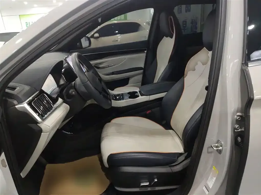 BYD PLUS New Energy 2024 из CN, фото 7