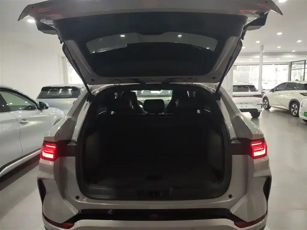 BYD PLUS New Energy 2024 из CN, фото 9