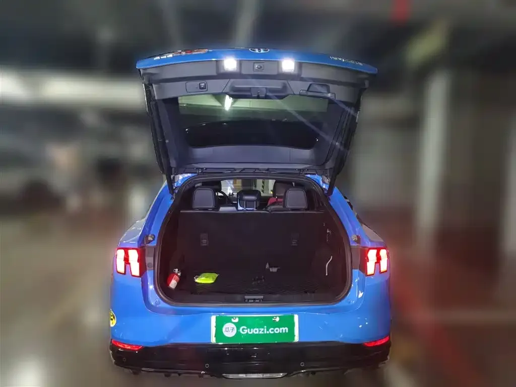 Ford Mustang Mach-E 2022 из CN, фото 2