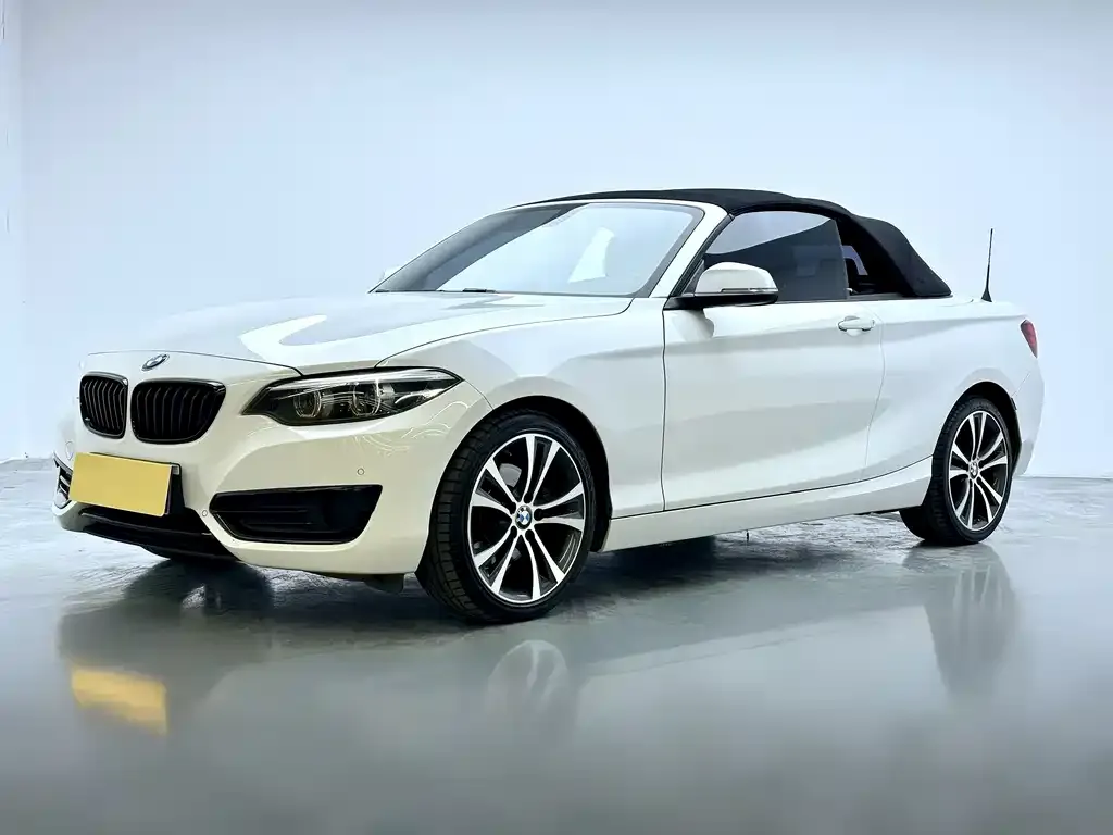 BMW 2 Series (Import)