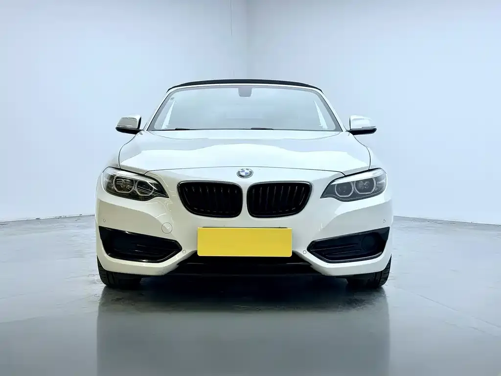 BMW 2 Series (Import) 2021 из CN, фото 3