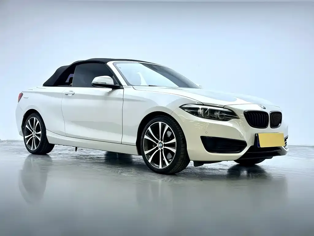BMW 2 Series (Import) 2021 из CN, фото 4